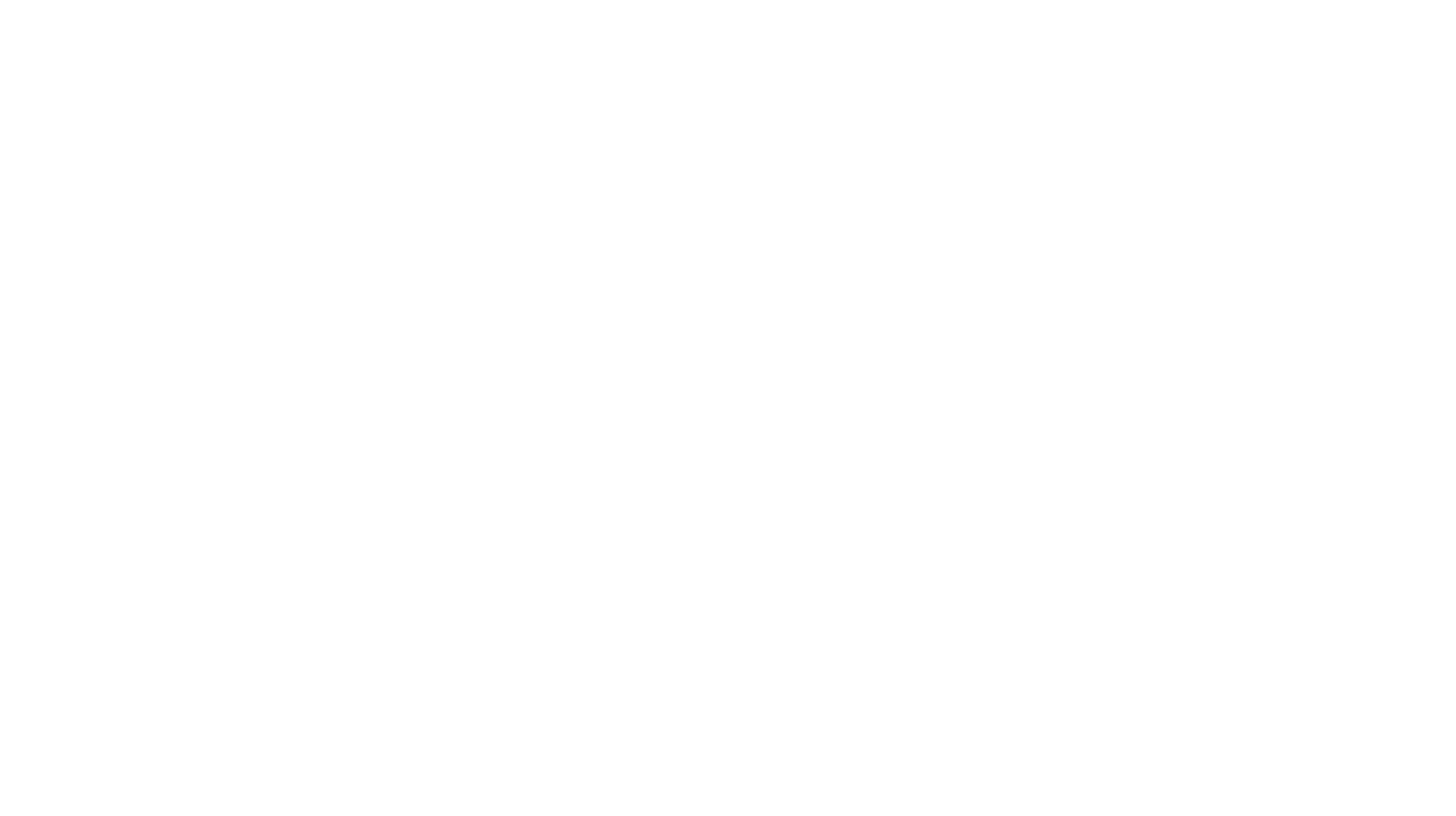 logo2